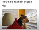 Shipped.jpg