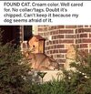 IMG_4453.jpeg