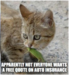 1706460506983.png