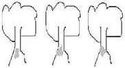 pastedGraphic_1.png
