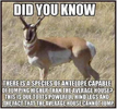 1758115739840.png