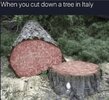 1758246221177.jpeg
