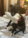 IMG_4251.jpeg