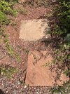 IMG_6388.jpeg
