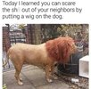 1759079187929.jpeg