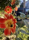 IMG_8994.jpg