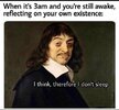 557548192_122179409798436584_9177930152571729656_n.jpg