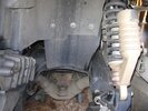 IMG_4528.jpeg