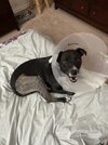 IMG_6623.jpeg
