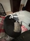 IMG_6625.jpeg