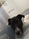 IMG_6626.jpeg