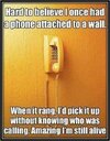 1760119252346.jpeg