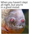 1760181155693.png