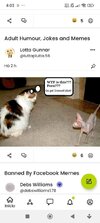 IMG_4587.jpeg