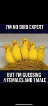 IMG_4591.jpeg