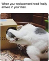 1760857346328.png