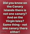 1714857169785.png