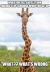 IMG_1001.jpeg