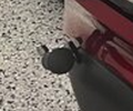 1761172960711.png 1761172960711.png