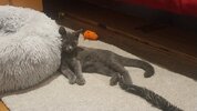 20251022_064924.jpg