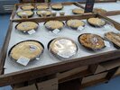 PXL_20251030_161217159.jpg