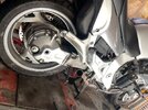IMG_4217.jpeg