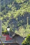 IMG_1271.jpeg