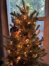 IMG_6077.jpeg