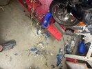 IMG_5350 (1).jpeg