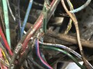 IMG_5353.jpeg