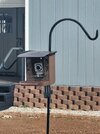 20260101_BirdFeeder.jpg