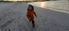 IMG_4461.jpeg