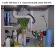leek.png