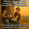 1769167279368.png
