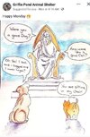 Dogs vs Cats.jpg