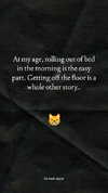 1770131881340.png