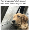 1770217641073.png