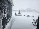 20260218_SnowBlizzard1.jpg