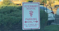 1773229847465.png