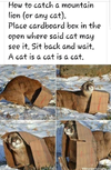 1772042241045.png 1772042241045.png