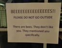 1775354503199.png