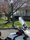 IMG_3600.jpeg