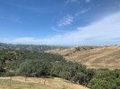 IMG_5329.jpeg