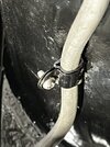 IMG_4318.jpeg