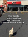 1778065263590.png