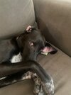 IMG_4773.jpeg
