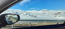 IMG_4754.jpeg