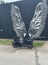 IMG_2060.jpeg