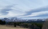 IMG_1449.jpeg