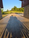 20260508_191545(1).jpg